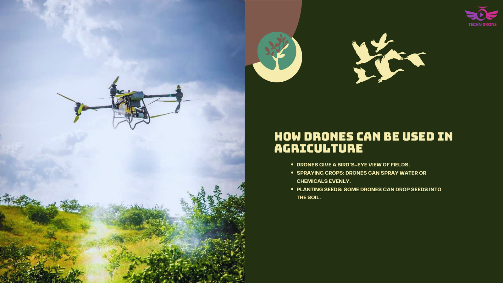 How Drones can be used in Agriculture